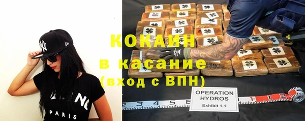 прущая мука Арсеньев