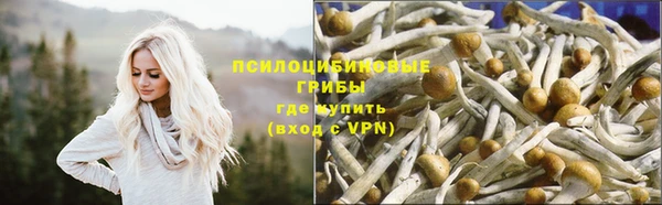 прущая мука Арсеньев