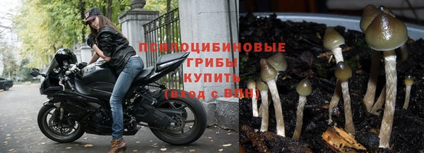 прущая мука Арсеньев