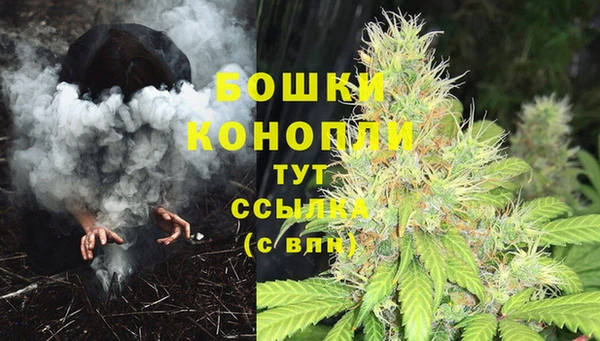 прущая мука Арсеньев