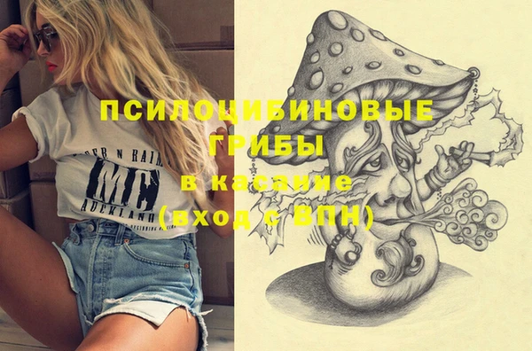 дмт Армянск