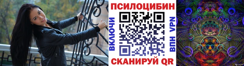 Псилоцибиновые грибы Cubensis Солигалич